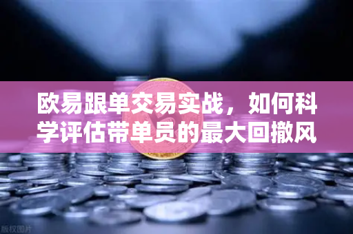 欧易跟单交易实战，如何科学评估带单员的最大回撤风险？-第1张图片-欧易交易所