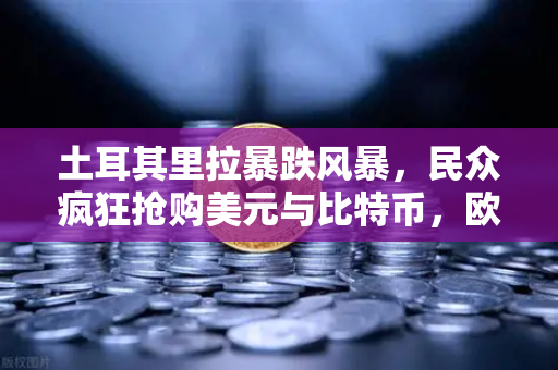 土耳其里拉暴跌风暴，民众疯狂抢购美元与比特币，欧易交易所官网成避险新宠？