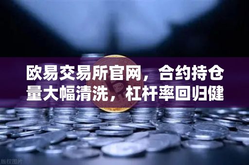 欧易交易所官网,合约持仓量大幅清洗,杠杆率回归健康水平—市场回暖的前奏?-第1张图片-欧易交易所 欧易交易所官网,合约持仓量大幅清洗,杠杆率回归健康水平—市场回暖的前奏?-第1张图片-欧易交易所