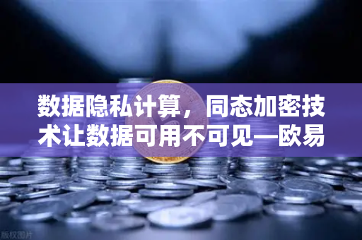 数据隐私计算，同态加密技术让数据可用不可见—欧易交易所官网的技术新视角