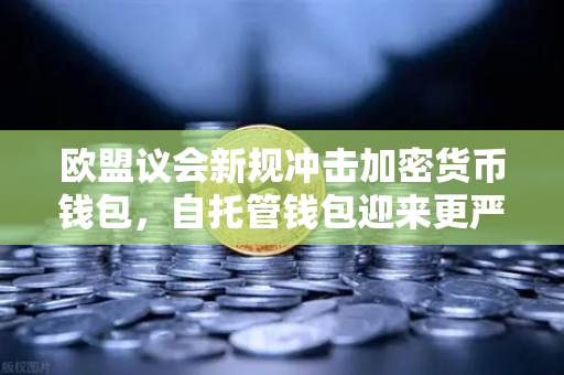 欧盟议会新规冲击加密货币钱包，自托管钱包迎来更严格合规时代