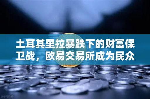 土耳其里拉暴跌下的财富保卫战，欧易交易所成为民众避险新选择