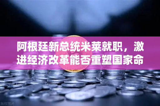 阿根廷新总统米莱就职,激进经济改革能否重塑国家命运?-第1张图片-欧易交易所 阿根廷新总统米莱就职,激进经济改革能否重塑国家命运?-第1张图片-欧易交易所