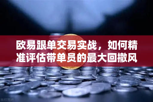 欧易跟单交易实战，如何精准评估带单员的最大回撤风险？