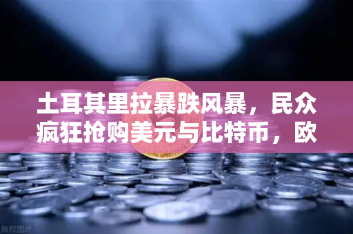 土耳其里拉暴跌风暴，民众疯狂抢购美元与比特币，欧易交易所成避险首选