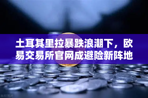 土耳其里拉暴跌浪潮下，欧易交易所官网成避险新阵地，民众抢购美元与比特币