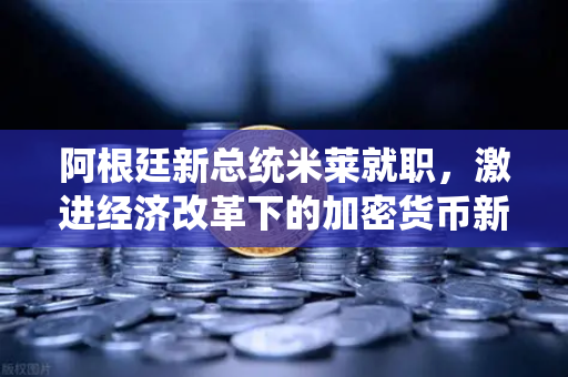 阿根廷新总统米莱就职，激进经济改革下的加密货币新机遇-第1张图片-欧易交易所
