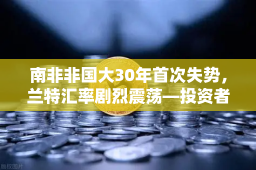 南非非国大30年首次失势,兰特汇率剧烈震荡—投资者避险情绪下的加密资产新变局-第1张图片-欧易交易所 南非非国大30年首次失势,兰特汇率剧烈震荡—投资者避险情绪下的加密资产新变局-第1张图片-欧易交易所