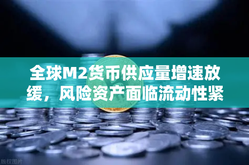 全球M2货币供应量增速放缓，风险资产面临流动性紧缩—投资者如何应对？