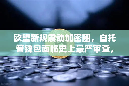 欧盟新规震动加密圈，自托管钱包面临史上最严审查，欧易用户如何接招？