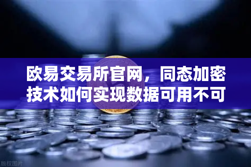 欧易交易所官网，同态加密技术如何实现数据可用不可见的隐私保护新范式-第1张图片-欧易交易所