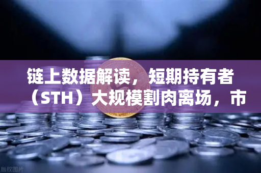 链上数据解读,短期持有者(STH)大规模割肉离场,市场底在何方?-第1张图片-欧易交易所 链上数据解读,短期持有者(STH)大规模割肉离场,市场底在何方?-第1张图片-欧易交易所