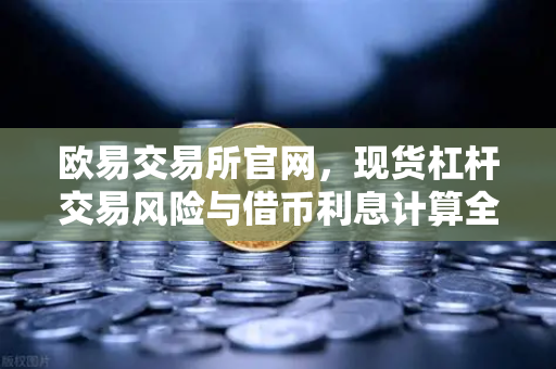 欧易交易所官网，现货杠杆交易风险与借币利息计算全解析