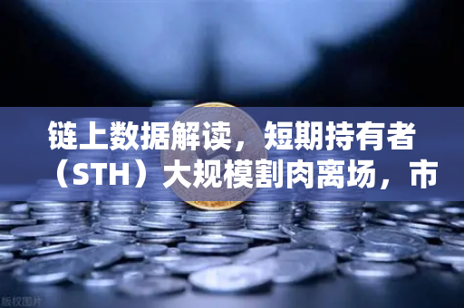 链上数据解读,短期持有者(STH)大规模割肉离场,市场底部信号已现?-第1张图片-欧易交易所 链上数据解读,短期持有者(STH)大规模割肉离场,市场底部信号已现?-第1张图片-欧易交易所