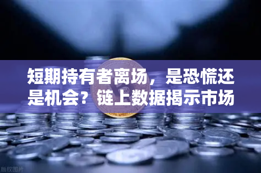 短期持有者离场，是恐慌还是机会？链上数据揭示市场真相