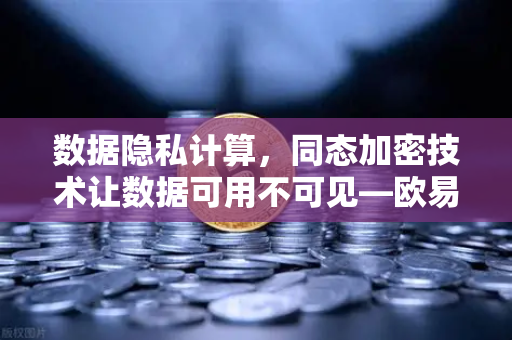 数据隐私计算，同态加密技术让数据可用不可见—欧易交易所官网的安全革新