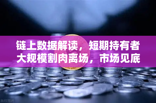 链上数据解读，短期持有者大规模割肉离场，市场见底信号已至？