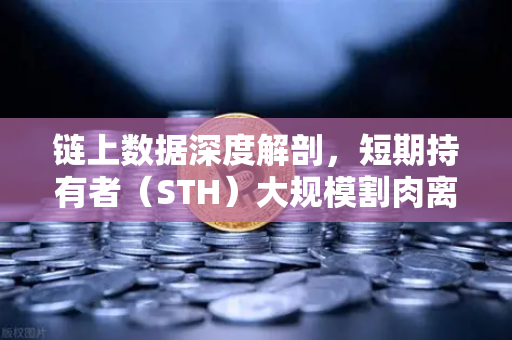 链上数据深度解剖，短期持有者（STH）大规模割肉离场，市场底部信号还是恐慌蔓延？