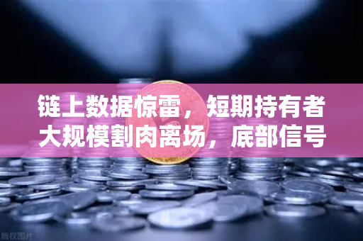 链上数据惊雷，短期持有者大规模割肉离场，底部信号还是恐慌蔓延？