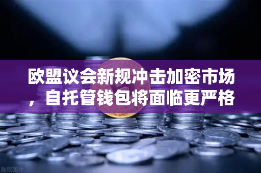 欧盟议会新规冲击加密市场，自托管钱包将面临更严格尽职调查，用户如何应对？