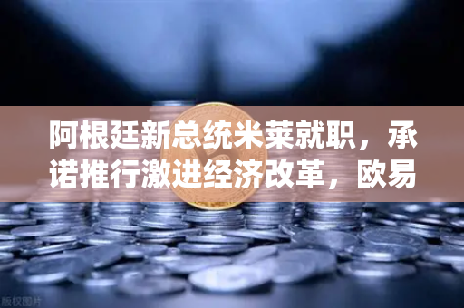 阿根廷新总统米莱就职，承诺推行激进经济改革，欧易交易所官网视角下的全球市场震荡