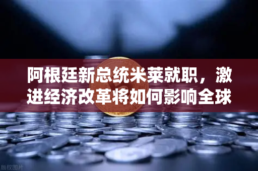 阿根廷新总统米莱就职，激进经济改革将如何影响全球市场？