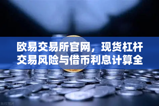 欧易交易所官网，现货杠杆交易风险与借币利息计算全解析