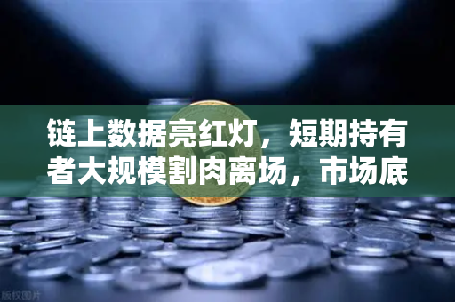 链上数据亮红灯，短期持有者大规模割肉离场，市场底部信号已现？