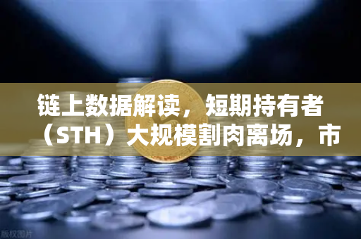 链上数据解读，短期持有者（STH）大规模割肉离场，市场底在何方？
