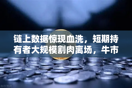 链上数据惊现血洗，短期持有者大规模割肉离场，牛市终结还是黄金坑？