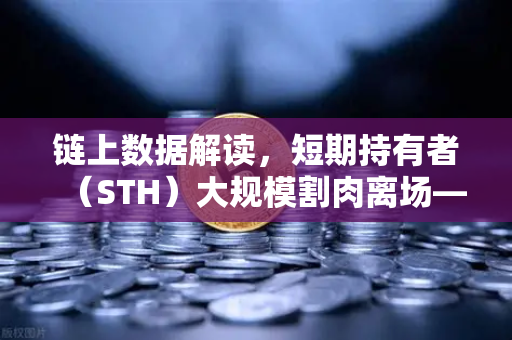 链上数据解读，短期持有者（STH）大规模割肉离场—市场底部信号已浮现？