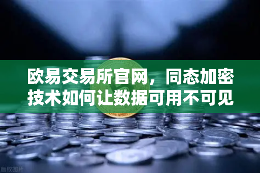 欧易交易所官网，同态加密技术如何让数据可用不可见？