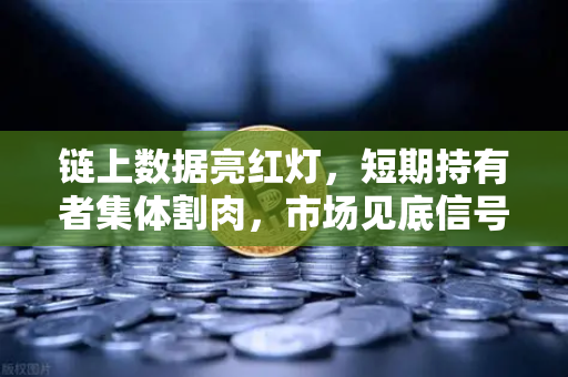 链上数据亮红灯，短期持有者集体割肉，市场见底信号还是恐慌蔓延？