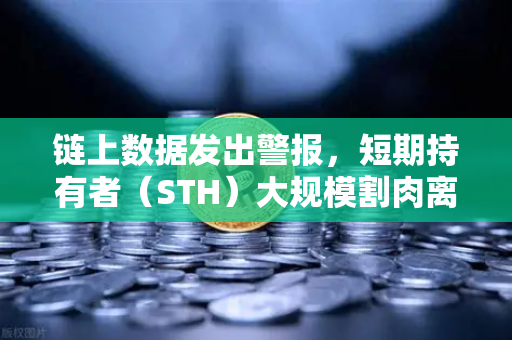 链上数据发出警报，短期持有者（STH）大规模割肉离场，市场底在何方？